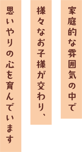 家庭的な雰囲気の中で
様々なお子様が交わり、思いやりの心を育んでいます